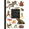 Princeton University Press Frogs of the World – A Guide to Every Family | Mark O′shea,Simon Maddock