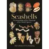 Princeton University Press Seashells | Gary Rosenberg