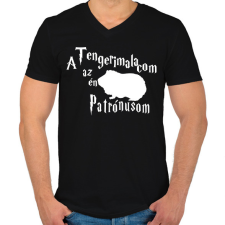 PRINTFASHION A Tengerimalacom az én Patrónusom - Férfi V-nyakú póló - Fekete férfi póló