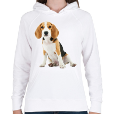 PRINTFASHION Beagle kutyás póló minta - Női kapucnis pulóver - Fehér női pulóver, kardigán