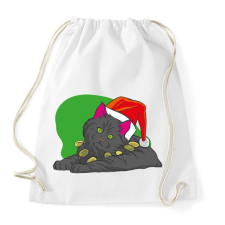 PRINTFASHION Cica mikulás sapkában - Sportzsák, Tornazsák - Fehér tornazsák