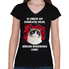 PRINTFASHION Emberi agy - Női V-nyakú póló - Fekete