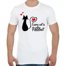 PRINTFASHION Every cat is PURRfect - Férfi póló - Fehér férfi póló