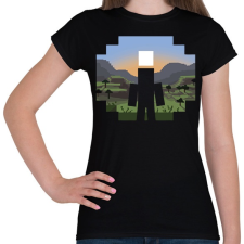 PRINTFASHION Minecraft Land - Női póló - Fekete női póló