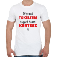 PRINTFASHION Nem csak tökéletes vagyok, hanem kertész is! - Férfi póló - Fehér