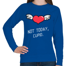 PRINTFASHION Not today, Cupid - Női pulóver - Királykék