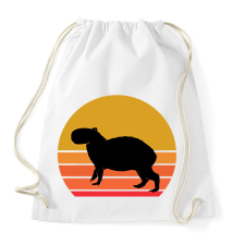 PRINTFASHION Retro Capybara - Sportzsák, Tornazsák - Fehér tornazsák