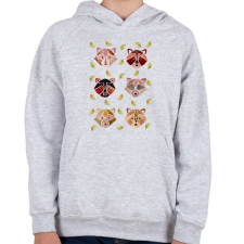 PRINTFASHION Vízfesték mosómedvék - Gyerek kapucnis pulóver - Sport szürke gyerek pulóver, kardigán