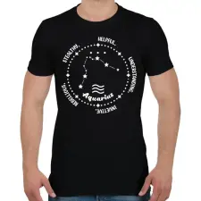 PRINTFASHION Vízöntő tulajdonságok - Férfi póló - Fekete férfi póló