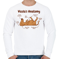 PRINTFASHION Vizsla anatómia - Férfi pulóver - Fehér