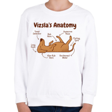 PRINTFASHION Vizsla anatómia - Gyerek pulóver - Fehér gyerek pulóver, kardigán