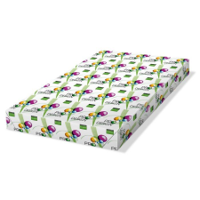 PRO-DESIGN Másolópapír digitális SRA3 450x320 mm 300g (PRDES300X410) (PRDES300X410) fénymásolópapír