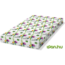 PRO-DESIGN Másolópapír digitális SRA3 450x320mm 200g fénymásolópapír