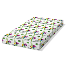 Pro-Desing SRA3 450x320mm nyomtatópapír (125db) (PRDES300X410) fénymásolópapír