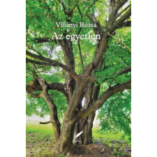 Pro Pannónia Kiadói Alapítvány Az egyetlen regény