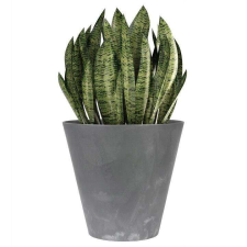 PROSPERPLAST Dekoratív virágcserép, kerek, antracit, 7 L, 25x23,3 cm, Tubus Beton kerti tárolás