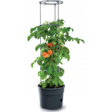 PROSPERPLAST TOMATO GROWER kaspó paradicsom termesztésre 39,2 cm antracit (CEN-72583) kerti tárolás