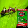 Protect Protect combi hangyairtó csalétek 3 db