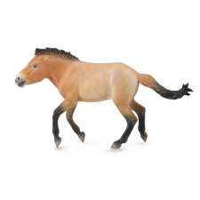 Przevalszkij ló Collecta figura játékfigura