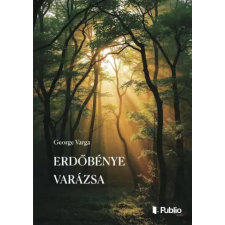 Publio Erdőbénye varázsa egyéb e-könyv