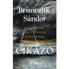 Publio Kiadó Cikázó egyéb könyv