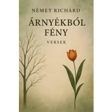 Publishdrive Árnyékból fény egyéb e-könyv