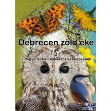 Publishdrive Debrecen zöld éke (The Great Forest) egyéb e-könyv