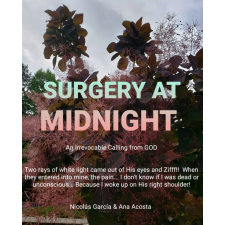 Publishdrive Surgery At Midnight egyéb e-könyv