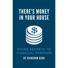 Publishdrive There is Money in Your House egyéb e-könyv