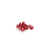 PUIG Puig M6x20 mm-es domború csavar készlet, piros Puig  Vázak, idomok, kiegészítők Csavarok és alkatrészek