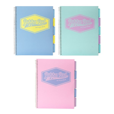 Pukka pad Spirálfüzet PUKKA PAD Pastel regiszteres A/4 100 lapos vonalas füzet