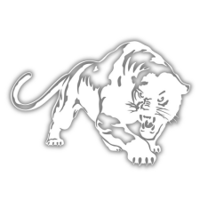  Puma autómatrica matrica