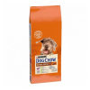  Purina Dog Chow Mature Senior Báránnyal  száraz kutyaeledel 14 kg – 14 kg