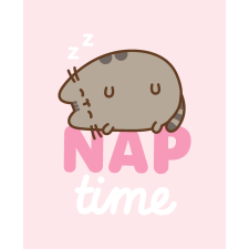 Pusheen Nap Time flanel polár takaró 130x160cm lakástextília