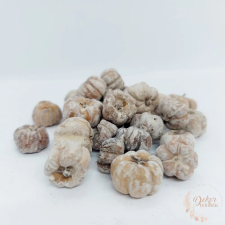  Putka pod - mini tök termés - hamvas dekorációs kellék