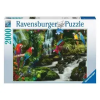  Puzzle 2000 db - Színes papgájok a dzsungelban