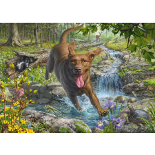 Puzzle arany retriever tavaszi természetben 1000 darab puzzle, kirakós