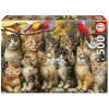  Puzzle Educa Gatitos y Pájaros 500 Darabok