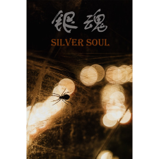 Qiutaixu studio 银魂：Silver Soul (PC - Steam elektronikus játék licensz) videójáték