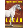 Quercus Publishing Lazar | Nelio Biedermann