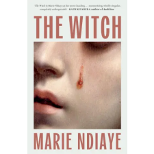 Quercus Publishing The Witch | Marie NDiaye egyéb könyv