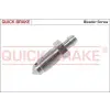 Quick Brake légtelenítő csavar/-szelep 0019