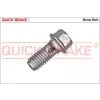 Quick Brake üreges csavar 3257