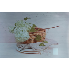 R2S műanyag Reggeliző alátét, White hydrangea, 45X30 cm ART WIT0550D konyhai eszköz