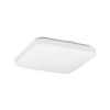 Rabalux 2287 - LED Menyezeti lámpa ROB 1xLED/32W/230V