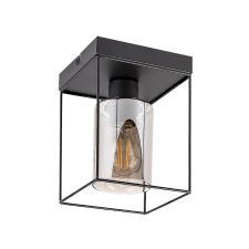 RÁBALUX 71031 Chadwick, mennyezeti lámpa, beltéri. E27 1xMAX25W, H20cm világítás