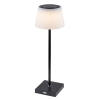 RÁBALUX 76010 Taena,asztali lámpa, beltéri, LED4W, H38cm, fekete 3000-5000K 200lm 'G'