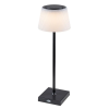 RÁBALUX 76010 Taena,asztali lámpa, beltéri, LED4W, H38cm, fekete 3000-5000K 200lm 'G'