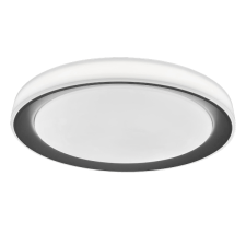 RÁBALUX EVEREST LED MENNYEZETI LÁMPA 40W 3200LM 2700–6500K IP20 WIFIS D51CM EZÜST világítás