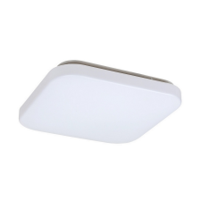 Rabalux LED Menyezeti lámpa ROB LED/20W/230V világítás